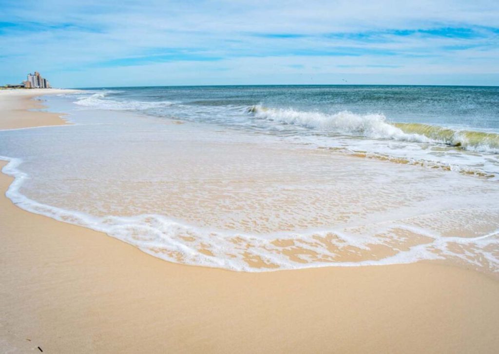 Sunlight, Sands, and Surprises: Embracing the Beauty of Experiencing Florida’s Wonders